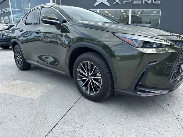 2023 Lexus NX NX250 Automatic FWD
